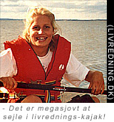 KLIK FOR FORST�RRELSE (331 Kb)