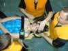 FORST�R FOTO VED KLIK