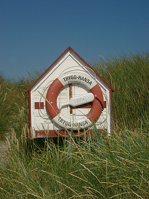 KLIK FOR FORST�RRELSE (343 KB)